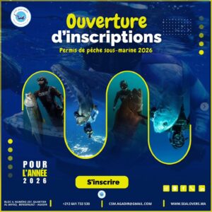 باقات وعروض