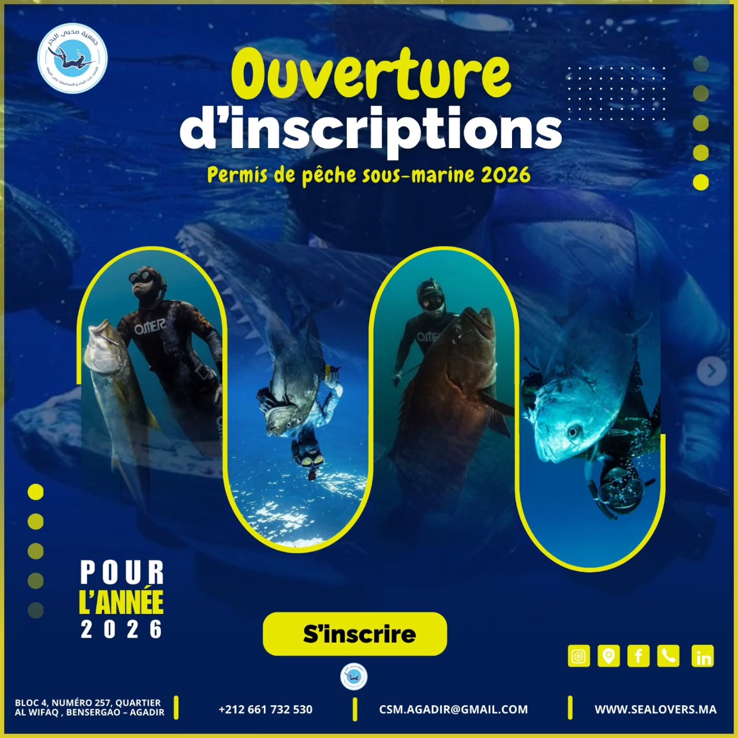 الأنشطة البحرية وتنقية البحر