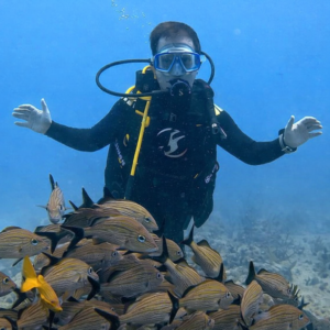 دورات وتجارب