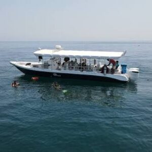 رحلات – Diving Trips